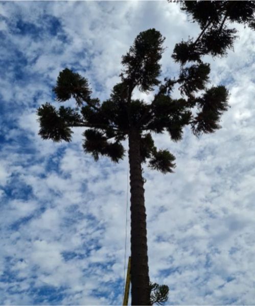 IMG-20220319-WA0060
